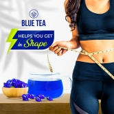 Butterfly Pea Flower Tea - 20 Teabags