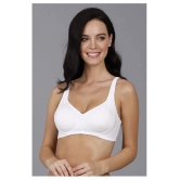 Amante Cotton Everyday Bra - White Single - 38DD