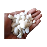 Foodie Puppies White Pebbles Glossy Stones For Home Decorative, Vase Fillers, Aquarium Fish Tank,Garden (Polished 450 g) Aquarium Tool