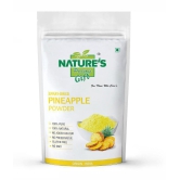 Nature''s Gift Pineapple Powder Smoothie 400 gm