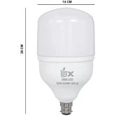 UBX 30W LED Bulb, High Wattage Jumbo Led Bulb 30 Watt Cool Day Light