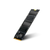 Foxin FX 256 Express NVME SSD