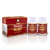 DEEMARK Shilajit Gold Capsules for Men to Increase Sexual Power | Enhance Stamina Naturally & Balances Testosterone & Increase Libido | Capsules Made with Shilajit, Safed Musli, Ashwagandha, Gokshura, Kesar, & Gold Dust. (Pack of 2)