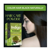 Kayamaya 100% Pure Indigo Powder Permanent Hair Color Black 100 g Pack of 2