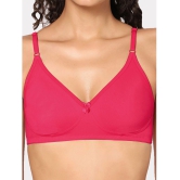 In Shape Lingerie - Magenta Cotton Non Padded Women's T-Shirt Bra ( Pack of 1 ) - None