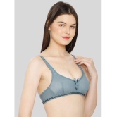 ILRASO - Blue Cotton Blend Lightly Padded Women's Plunge Bra ( Pack of 1 ) - None