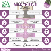 MILK THISTLE (Healthy Liver, Boost Metabolism And Maintain Cholesterol level)