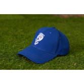 I Dont Care Printed Royal Blue Cap