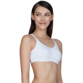 Amante Cotton T-Shirt Bra - White Single - 32B