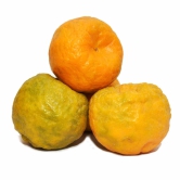 Citrus Fruit Orange Nagpur, 1 Kg