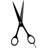 Dhanishka Moustache Scissors 15