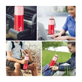 Milton Ancy 500 Thermosteel Water Bottle, 520 ml, Red | 24 Hours Hot and Cold | Easy to Carry | Rust Proof | Tea | Coffee | Office| Gym | Home | Kitchen | Hiking | Trekking | Travel Bottle -