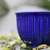 Blue Planter-Set of two