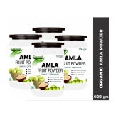 rawmest Amla Fruit Powder 100 gm Pack Of 4