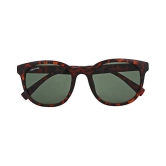 Creature - Green Panto Sunglasses ( POST-006 ) - Large