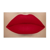 Beauty Berry Matte Lips Creme Lipstick 2 IN 1 Ruby Red 8 g