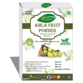 Kashvy Amla Fruit Powder 100 gm Pack Of 1