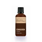 Cinnamon Essential Oil-20 ml / Essential Oil