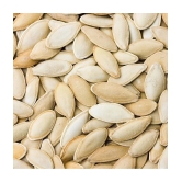 pumpkin Seeds Best Quality Seeds Big Type For Home Garden