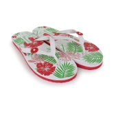 Phonolite Women Slipper Pack of 2 - None