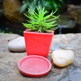 On the Move Ceramic Pot With Tray-Orange