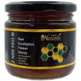 Farm Naturelle Eucalyptus Flower Wild Forest (Jungle) Honey 450g |NMR Tested | 100% Pure Honey| Raw & Unfiltered|Unprocessed|Lab Tested Honey In Glass Jar with Engraved Virgin Wooden Spoon|Antioxidant, Anti-inflammatory Honey