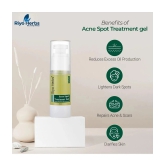 Riyo Herbs Acne Spot Treatment Gel with 2% Salicylic Acid | All Skin types - 30ml