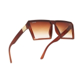 Creature - Brown Square Sunglasses ( Pack of 1 ) - Medium