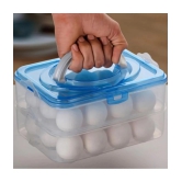 HOMETALES Plastic Transparent Egg Container ( Set of 1 ) - Transparent