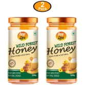 ANP BEE Wildflower Honey Wild Forest Honey 500 g Pack of 2