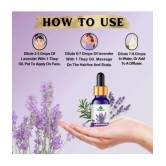 Sonavi Lavender Stress Relief Essential Oil Green With Dropper 60 mL ( Pack of 2 )