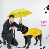 Dog Clothes| Hooded Raincoat for Large Dogs | Sizes and Colours Available| Claws N Paws-Yellow / 3XL