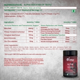 Wishnew Wellness Men's Performance Trio: Daily Ritual Multivitamin Men 18+ + Alpha Booster of Testo + Genius Brain