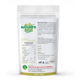 Nature''s Gift - 200 gm Onion Powder (Pack of 1)