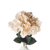 Hydrangea Bloom Bunch Off-white