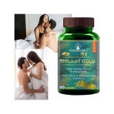 Shilajit Gold | Premium Vitality | Ayurvedic Supplement for Men 60 Capsules