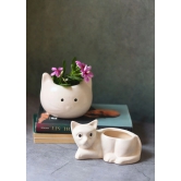 Cat & Kitty Planter