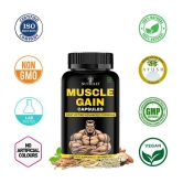 Nutriley Muscle Gain Capsule, Mass Gainer, 60 gm Capsule