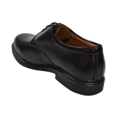 Ajanta - Black Mens Formal Shoes - None