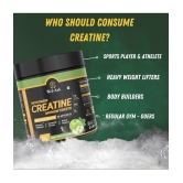 Wel-Ark Creatine 300 gm