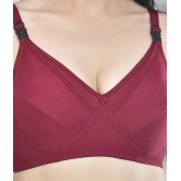 Desiprime - Multicolor 100% Cotton Solid Womens Maternity Bra ( Pack of 2 ) - 30B