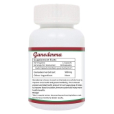 Zindagi Ganoderma Capsules - Immunity Booster Capsules - Ganoderma Extract Capsules - Health Supplement 60 gm Capsule