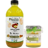 Farm Naturelle Organic Apple Cider Vinegar with Mother and Infused Ginger and Turmeric, 500 ml Along with Raw Acacia Forest Honey, 250 g (Glass Bottle)