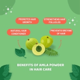 Carbamide Forte Amla Powder for Hair Growth & Skin Radiance, 100% Natural, Preservative & Chemical-Free, 250g.-Carbamide Forte Amla Powder for Hair Growth & Skin Radiance, 100% Natural, Preservat