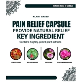 Grinbizz Pain Relief Capsules ( Pack of 1 )