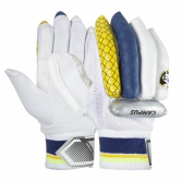 Sg Campus Cricket Batting Gloves (Size - BOYS, Packing - 1 pair) by Total Sporting And Fitness Solutions Pvt Ltd