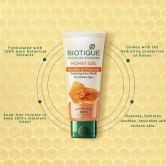 Biotique Honey Gel Soothe & Nourish Foaming Face Wash (150ml)-150ml