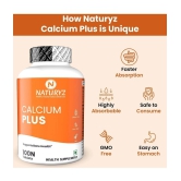 NATURYZ Calcium Plus with Calcium Citrate, Vitamin D, zinc, Magnesium for Bone Health - 100 Tablets