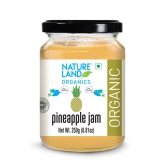 Natureland Organics Mango Jam And Pineapple Jam Combo, 250 gm Each - Pack of 2