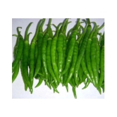 Best Hybrid Chilli Seeds - 50 + Instruction Manual